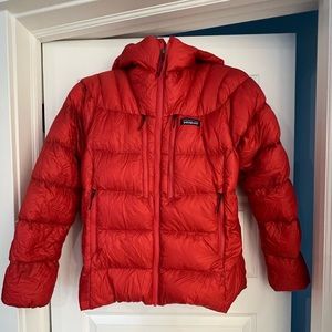 NWT Patagonia Fitz Roy Down Hoody